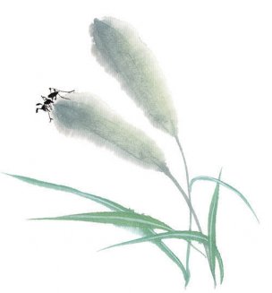 近现代 佚名 花卉图册J173-69-国画百花争艳517[花鸟