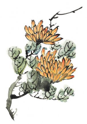 近现代 佚名 花卉图册J173-69-国画百花争艳509[花鸟