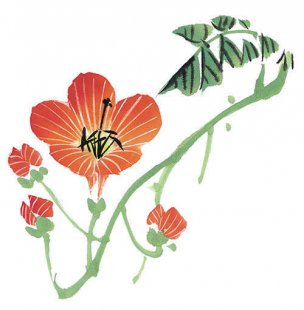 近现代 佚名 花卉图册J173-69-国画百花争艳514[花鸟