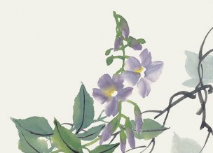 近现代 佚名 花卉图册J173-69-国画百花争艳74[花鸟