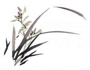 近现代 佚名 花卉图册J173-69-国画百花争艳497[花鸟