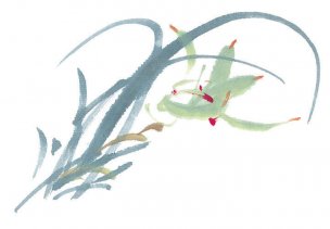 近现代 佚名 花卉图册J173-69-国画百花争艳499[花鸟