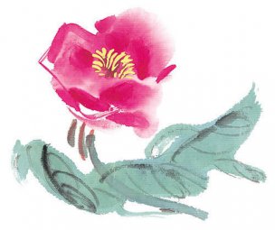 近现代 佚名 花卉图册J173-69-国画百花争艳505[花鸟
