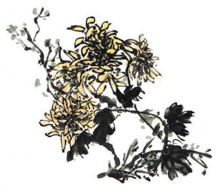 近现代 佚名 花卉图册J173-69-国画百花争艳510[花鸟