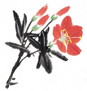 近现代 佚名 花卉图册J173-69-国画百花争艳519[花鸟