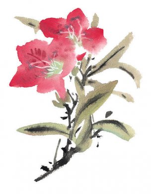 近现代 佚名 花卉图册J173-69-国画百花争艳498[花鸟