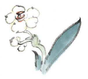近现代 佚名 花卉图册J173-69-国画百花争艳503[花鸟