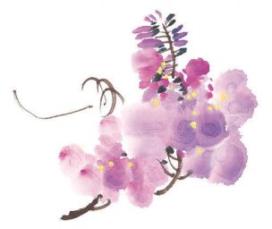 近现代 佚名 花卉图册J173-69-国画百花争艳506[花鸟