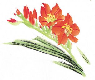 近现代 佚名 花卉图册J173-69-国画百花争艳518[花鸟