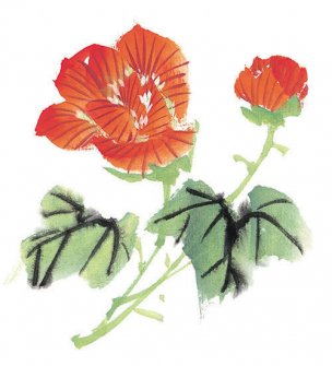 近现代 佚名 花卉图册J173-69-国画百花争艳504[花鸟
