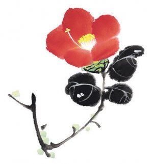 近现代 佚名 花卉图册J173-69-国画百花争艳516[花鸟