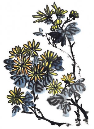 近现代 佚名 花卉图册J173-69-国画百花争艳492[花鸟