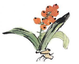 近现代 佚名 花卉图册J173-69-国画百花争艳495[花鸟