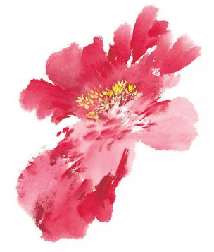 近现代 佚名 花卉图册J173-69-国画百花争艳520[花鸟