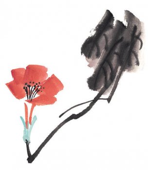 近现代 佚名 花卉图册J173-69-国画百花争艳491[花鸟
