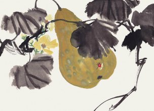 近现代 佚名 花卉图册J173-69-国画百花争艳51[花鸟