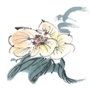 近现代 佚名 花卉图册J173-69-国画百花争艳507[花鸟