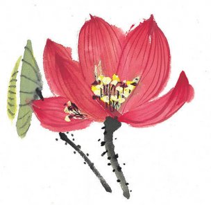 近现代 佚名 花卉图册J173-69-国画百花争艳496[花鸟