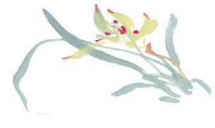 近现代 佚名 花卉图册J173-69-国画百花争艳502[花鸟