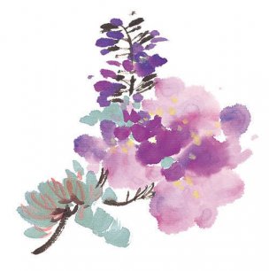 近现代 佚名 花卉图册J173-69-国画百花争艳508[花鸟