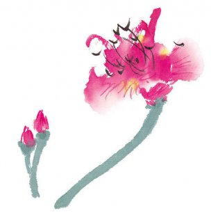近现代 佚名 花卉图册J173-69-国画百花争艳500[花鸟