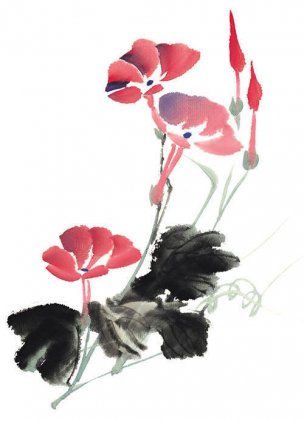 近现代 佚名 花卉图册J173-69-国画百花争艳511[花鸟