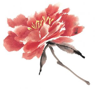 近现代 佚名 花卉图册J173-69-国画百花争艳476[花鸟