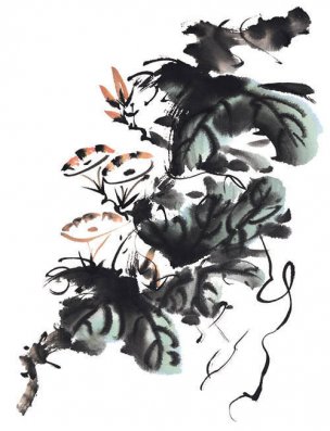 近现代 佚名 花卉图册J173-69-国画百花争艳489[花鸟