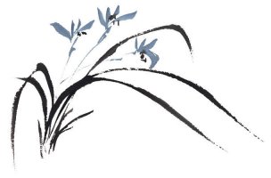 近现代 佚名 花卉图册J173-69-国画百花争艳486[花鸟