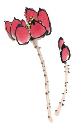 近现代 佚名 花卉图册J173-69-国画百花争艳463[花鸟