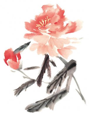 近现代 佚名 花卉图册J173-69-国画百花争艳464[花鸟