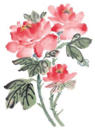 近现代 佚名 花卉图册J173-69-国画百花争艳471[花鸟