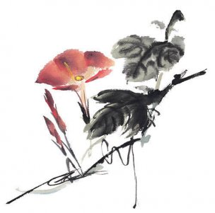 近现代 佚名 花卉图册J173-69-国画百花争艳483[花鸟