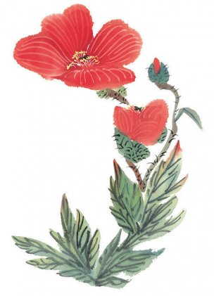 近现代 佚名 花卉图册J173-69-国画百花争艳477[花鸟