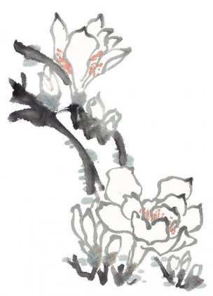 近现代 佚名 花卉图册J173-69-国画百花争艳472[花鸟