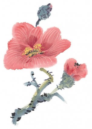 近现代 佚名 花卉图册J173-69-国画百花争艳487[花鸟