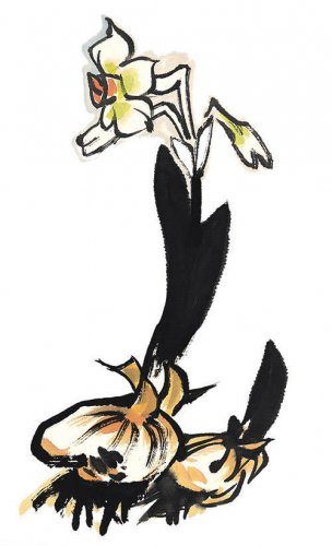 近现代 佚名 花卉图册J173-69-国画百花争艳462[花鸟