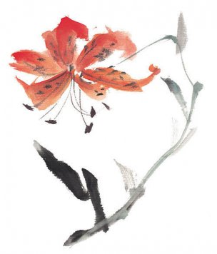 近现代 佚名 花卉图册J173-69-国画百花争艳439[花鸟
