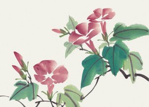 近现代 佚名 花卉图册J173-69-国画百花争艳46[花鸟