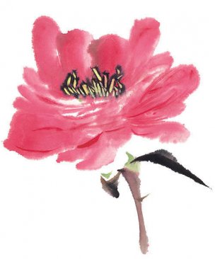 近现代 佚名 花卉图册J173-69-国画百花争艳449[花鸟