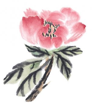 近现代 佚名 花卉图册J173-69-国画百花争艳453[花鸟