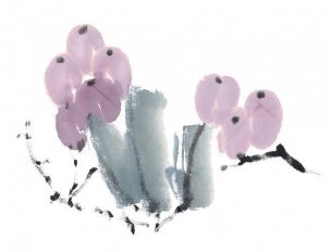 近现代 佚名 花卉图册J173-69-国画百花争艳485[花鸟
