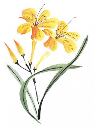 近现代 佚名 花卉图册J173-69-国画百花争艳442[花鸟