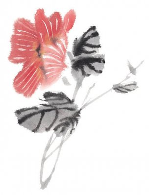 近现代 佚名 花卉图册J173-69-国画百花争艳436[花鸟