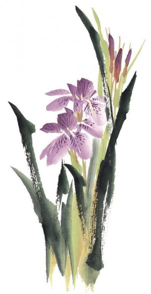 近现代 佚名 花卉图册J173-69-国画百花争艳432[花鸟