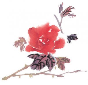 近现代 佚名 花卉图册J173-69-国画百花争艳437[花鸟