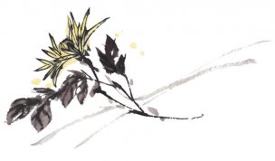 近现代 佚名 花卉图册J173-69-国画百花争艳447[花鸟