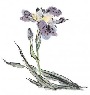 近现代 佚名 花卉图册J173-69-国画百花争艳438[花鸟