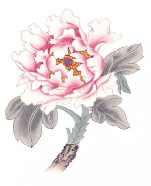 近现代 佚名 花卉图册J173-69-国画百花争艳433[花鸟