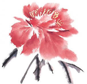 近现代 佚名 花卉图册J173-69-国画百花争艳459[花鸟